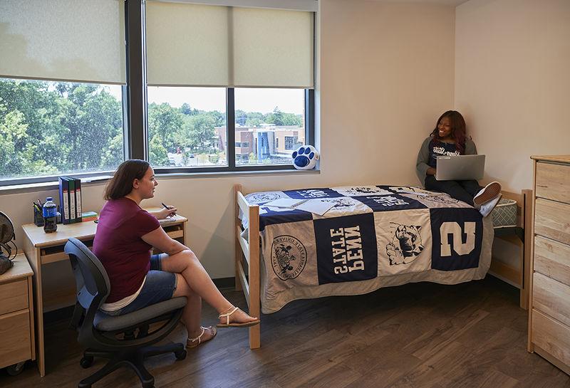 2 students studying in their room